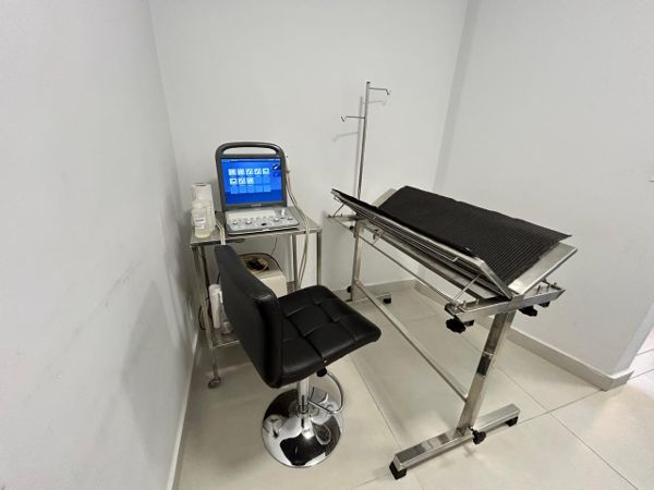 Ultrassom